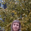 ���� ��������, �����-���������, 42 ���� - ��������� 12 ������ 2026 � ������ ���� ����������