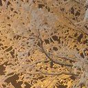 ���� ����, �����-��������� - ��������� 8 ������� 2023 � ������ ���� ����������