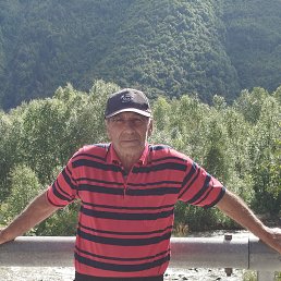 , 65 , 