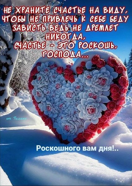 ���� �� ���������(������) - 20 ������� 2024 � 06:10