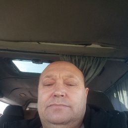 , 53,  