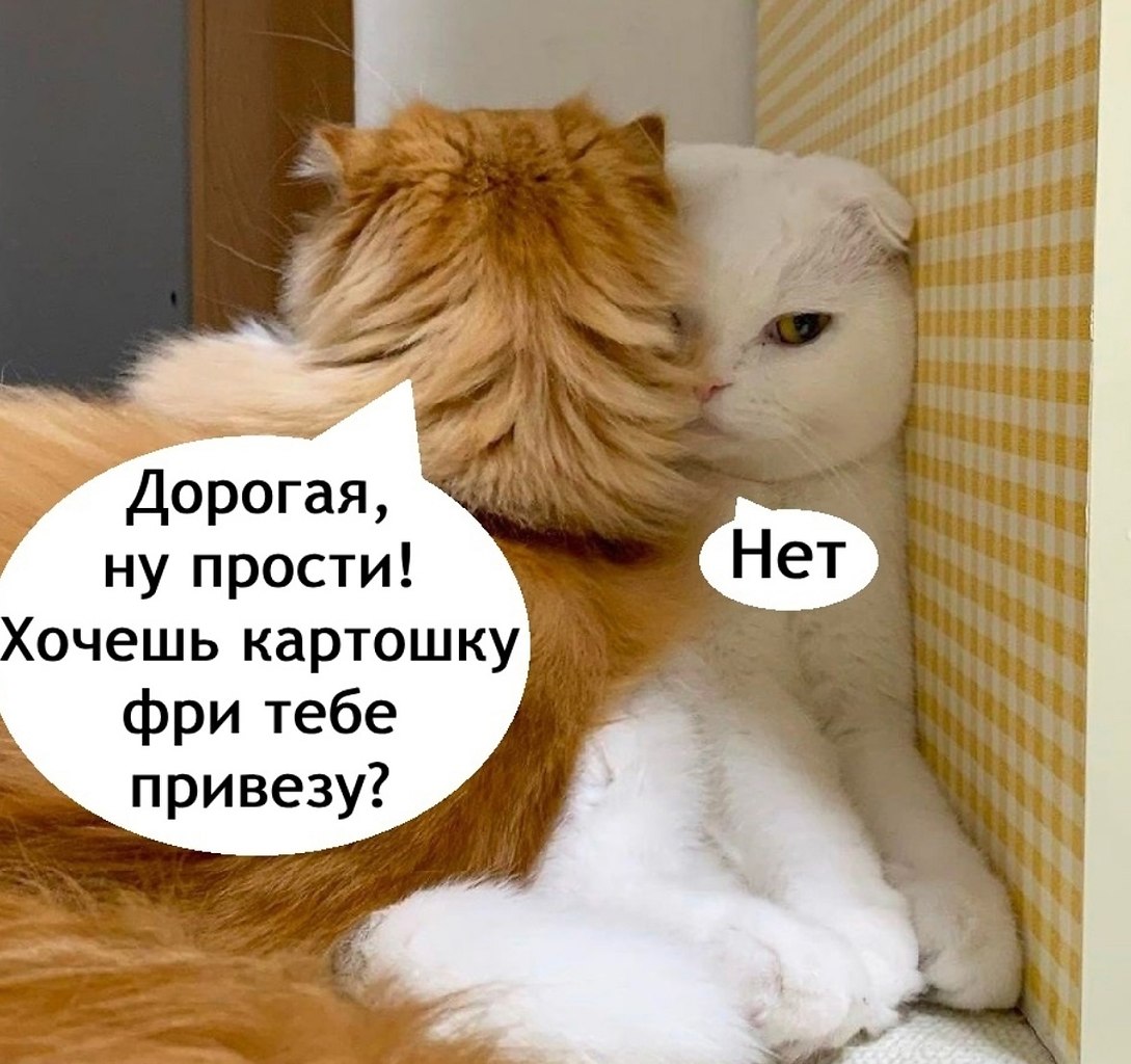 ������� �����, ������ ��������