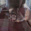 ���� Ann, ���������, 32 ���� - ��������� 28 ��� 2025 � ������ ���� ����������