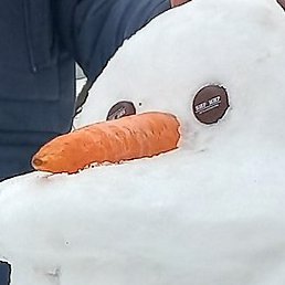 �������, �������, 59 ���