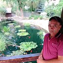 ���� �������, ���������, 50 ��� - ��������� 13 ������� 2025 � ������ ���� ����������