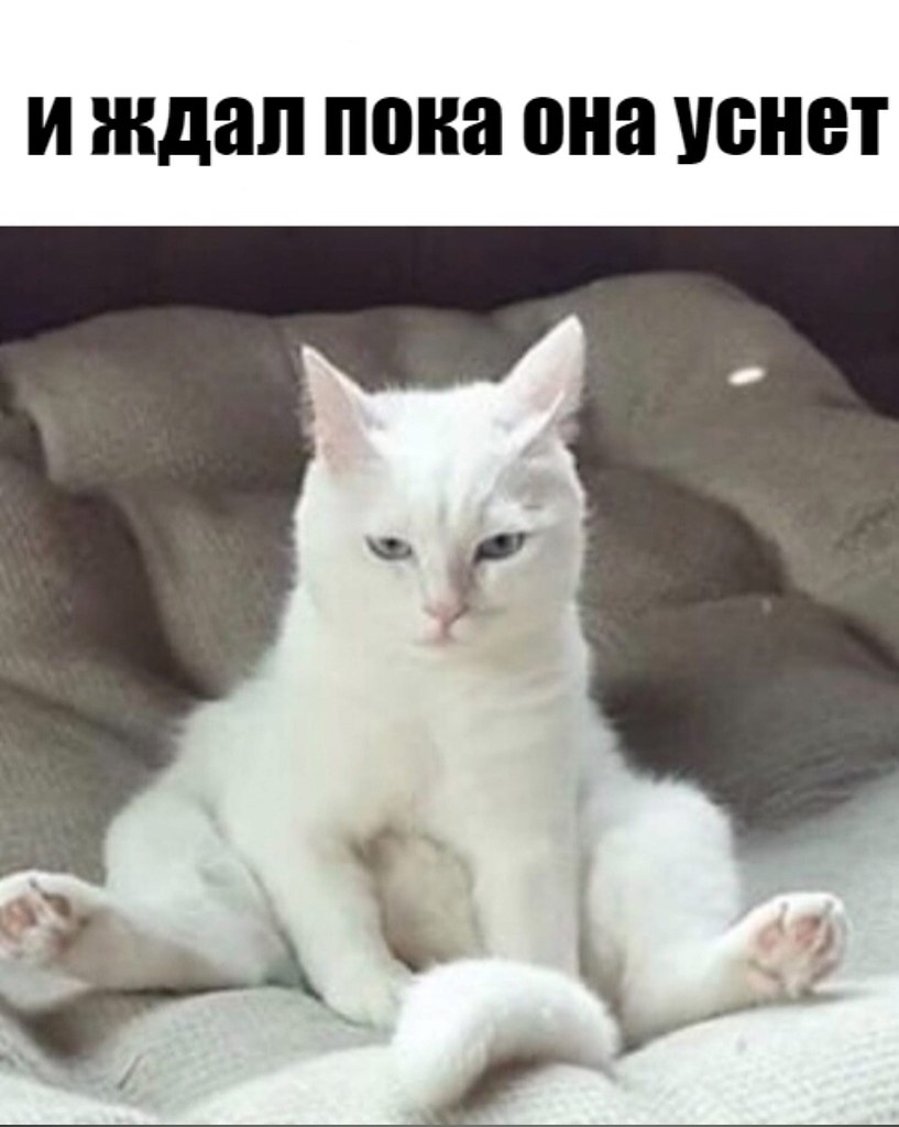       - 28  2025  12:32 - 3