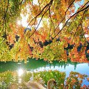 ���� ������, ���� - ��������� 16 ������� 2023 � ������ ������ ��������
