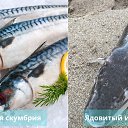 ���� ������ **, �����, 54 ���� - ��������� 25 ������� 2025 � ������ ������ ��������