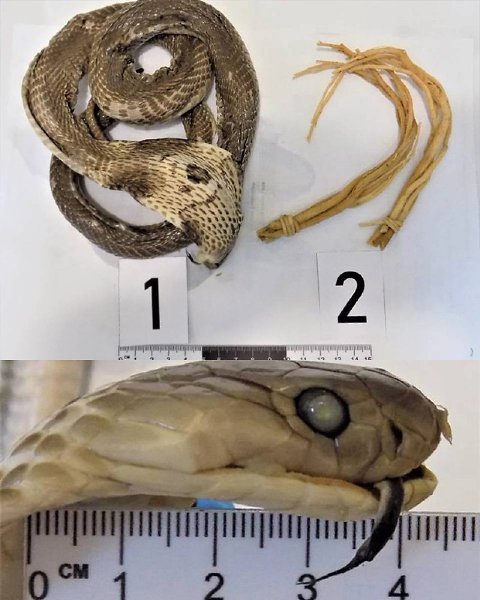 ��������� ���� �������� ��������� ������������: � ����������, ����������� �� ��������, ������ ... - 3