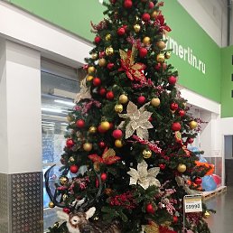 �����, �����������, 50 ���