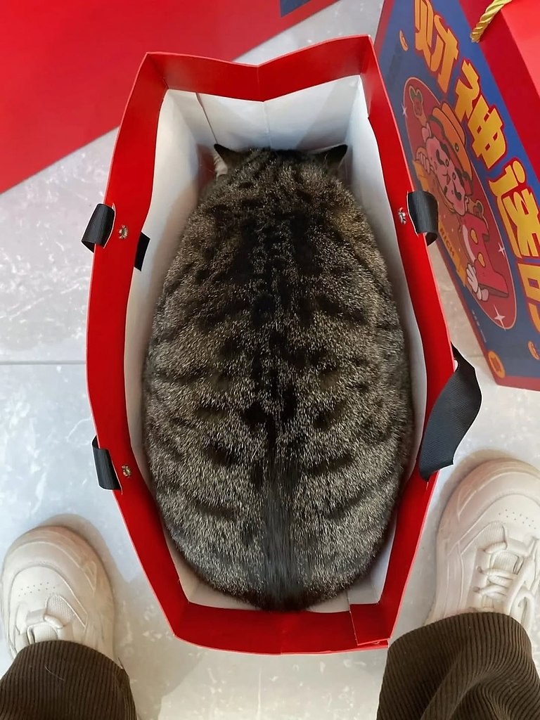 �� ����� ����� � ���� �������
