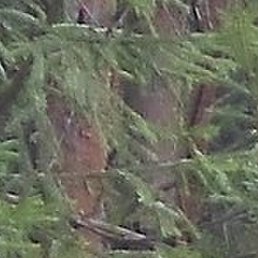 ��������, ������-���, 48 ���