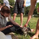 ���� ��������, ������, 33 ���� - ��������� 10 ������� 2023 � ������ ���� ����������