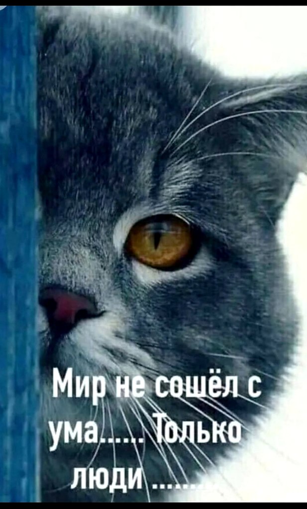    ,     ,      : ,   ...