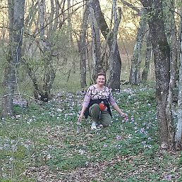 ������, �����������, 54 ����