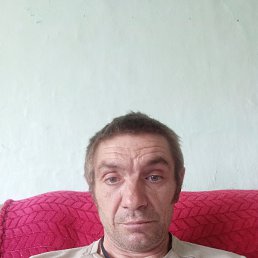 �������, 48 ���, ���������