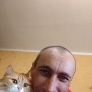 , 41 , 