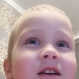 �������, �������, 38 ���