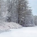 ���� �����, �����-��������� - ��������� 8 ������ 2024 � ������ ���� ����������