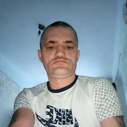 ������, 44 ����, �����������