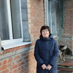 ���� �������, �����������, 68 ��� - ��������� 6 ������� 2026