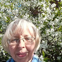 ��������, �����-���������, 62 ����