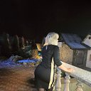 ���� �������, ������, 49 ��� - ��������� 14 ���� 2026 � ������ ���� ����������