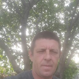 , 41, 