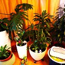 ���� Uegenia, ʸ���, 65 ��� - ��������� 22 �������� 2025 � ������ ���� ����������