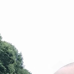 ������, �����������, 51 ���