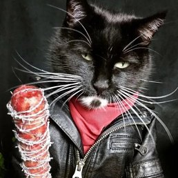 A, ����������