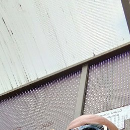 �����, ��������, 44 ����