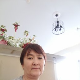 , 52, 