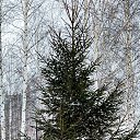 ���� Tanysha, ��������� - ��������� 28 ������� 2025 � ������ ���� ����������