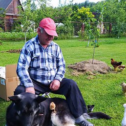 ������, ������, 66 ���