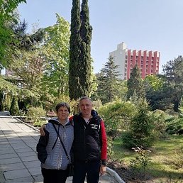 ������, ���������, 41 ���