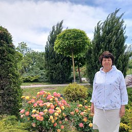 ��������, ������-��-����, 72 ����