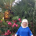 ���� ����, ������, 54 ���� - ��������� 27 ���� 2025