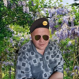 ���� �����, ������, 48 ��� - ��������� 28 ������� 2023