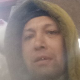 ������, ������, 49 ���