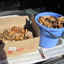 ���� �������, �������, 64 ���� - ��������� 5 ����� 2025 � ������ ���� ����������