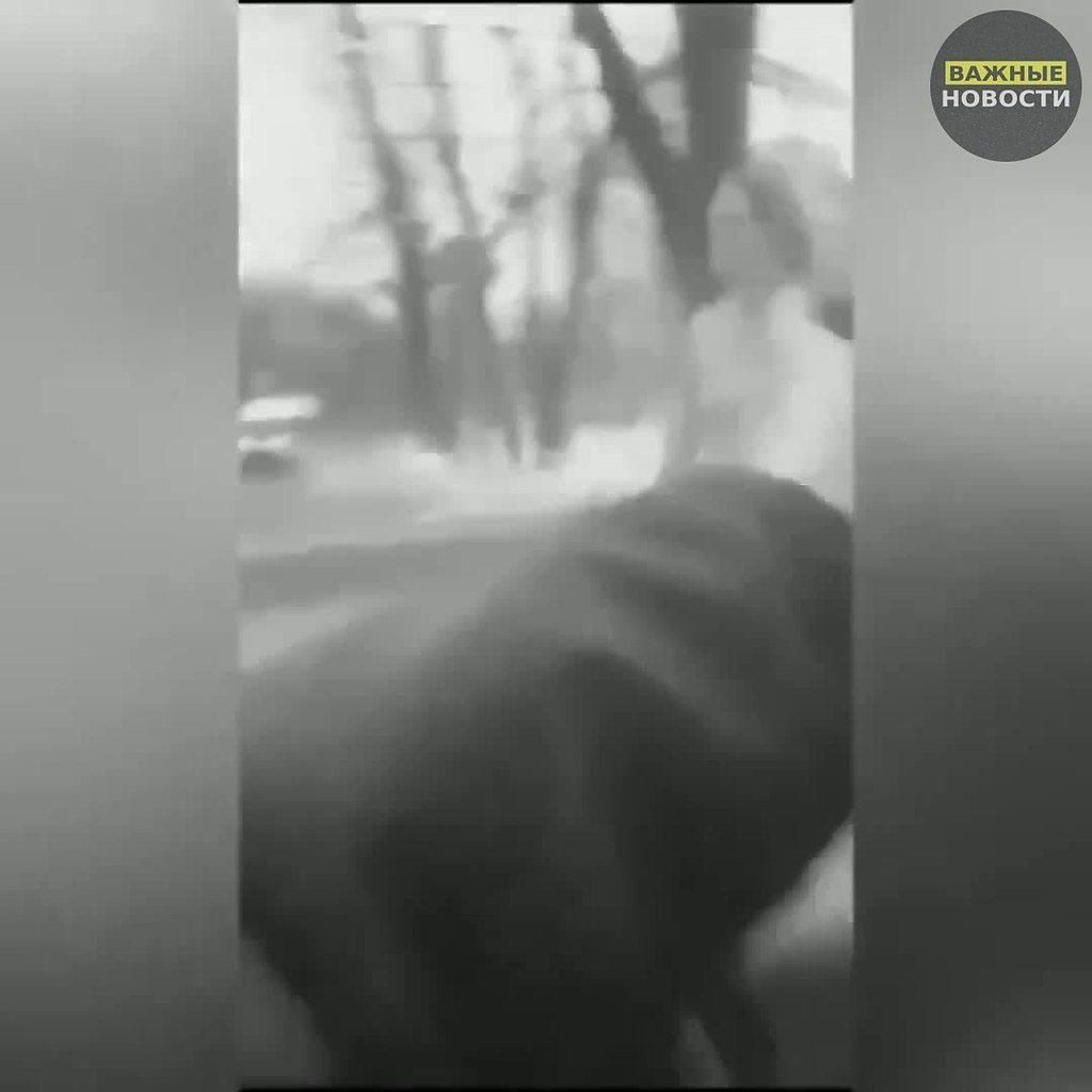 � �������� ��������� �������� ������ �� �������. ���� ����� �� ������� ��������� ������: ������� ... - 2