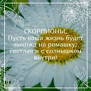 ���� ��������, ������������ - ��������� 25 ������ 2026 � ������ ������ ��������