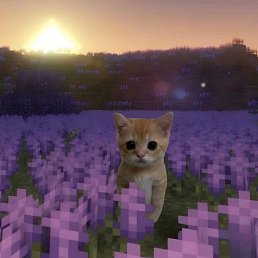 ���� �������, �����, 21 ��� - ��������� 23 ���� 2025