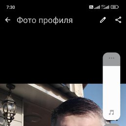 , 41, 