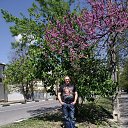 ���� ������, ���������, 51 ��� - ��������� 14 ������ 2023 � ������ ���� ����������