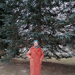 ������, �����, 53 ����