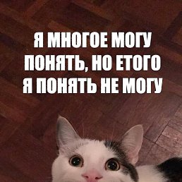 ���� ����, ������������, 59 ��� - ��������� 2 ��� 2025