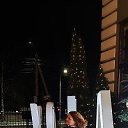���� �����, ��������, 41 ��� - ��������� 22 ����� 2026 � ������ ���� ����������
