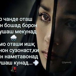 ������, �������, 43 ����